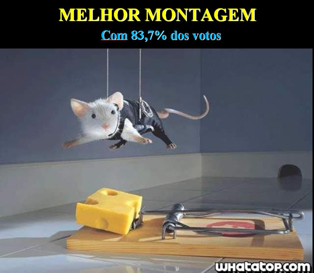 As Melhores Imagens da Internet - whatatop.com