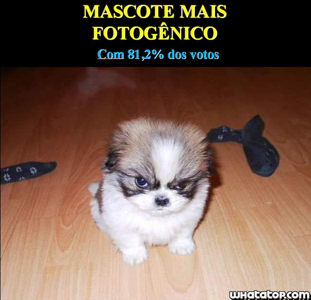 As Melhores Imagens da Internet - whatatop.com