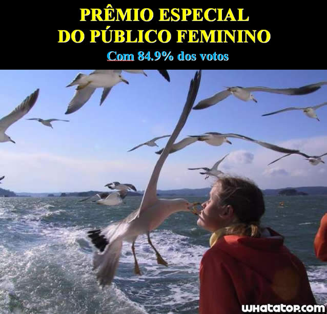 As Melhores Imagens da Internet - whatatop.com