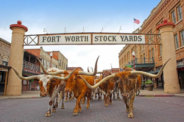 Fort Worth - Texas