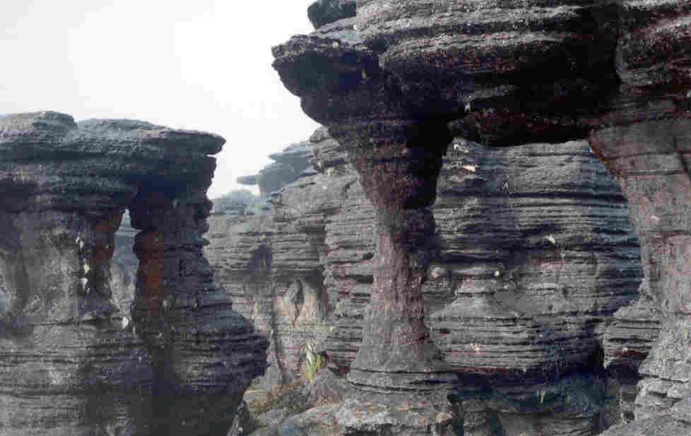 Monte Roraima