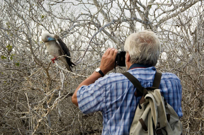 1 Encontro de Observao de Aves em Barueri (SP)