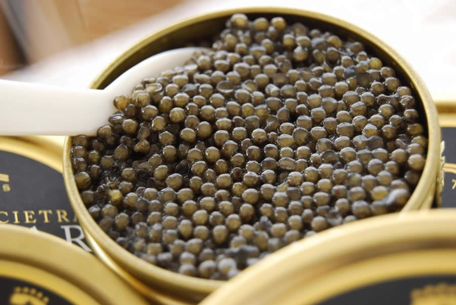 caviar Oscietra - EHL (Ecole htelire de Lausanne) - Gastronomia - Lausanne