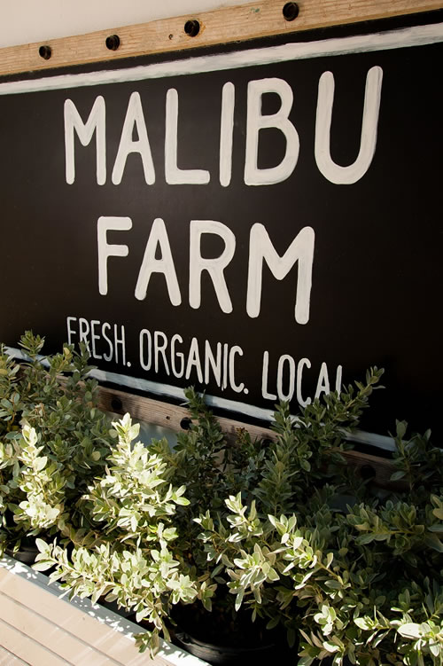 Malibu Farm - Eden Roc Resort Miami Beach - Beach - Miami Beach