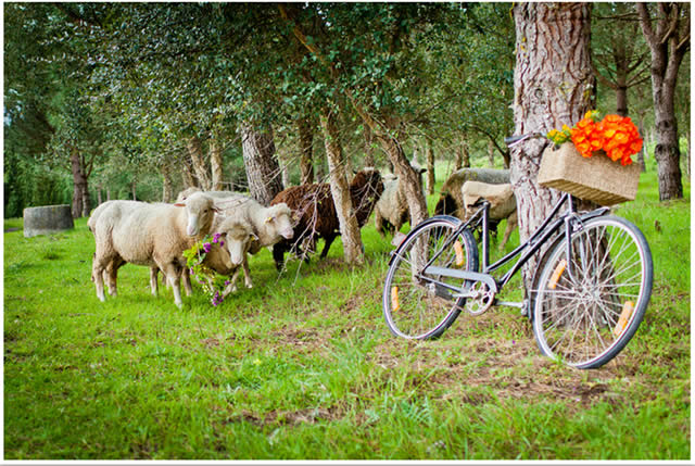 Portugal - Turismo Rural - Europa - Associao de Hotis Rurais de Portugal (AHRP) -  Portuguese Rural Experiences 360 