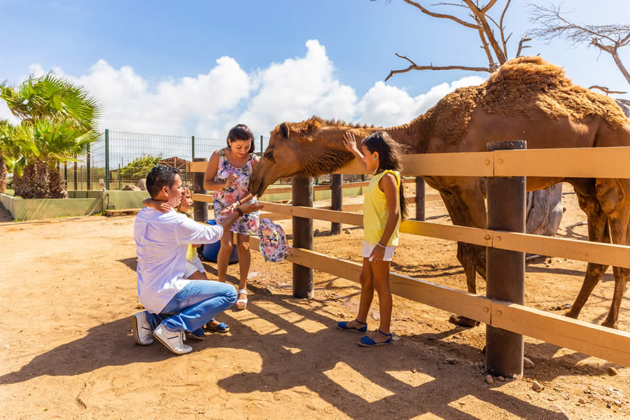 Aruba Philips Animal Garden