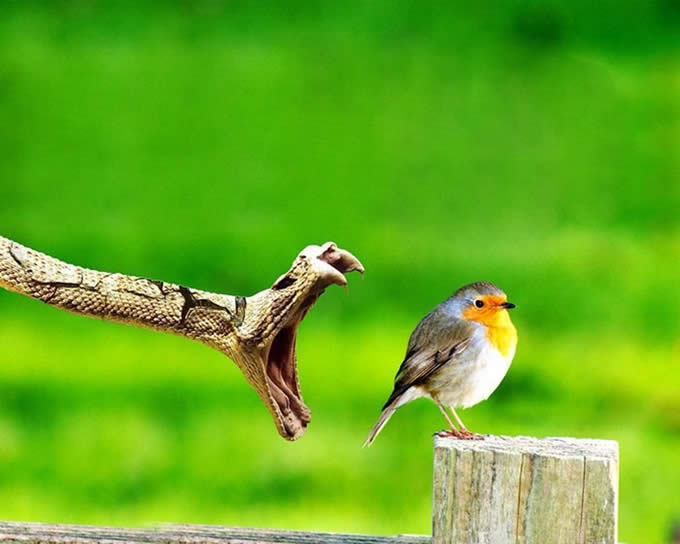 Fotografias tiradas no tempo exato