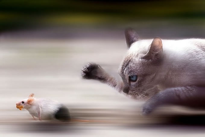 Fotografias tiradas no tempo exato