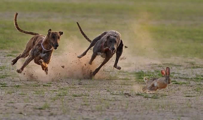 Fotografias tiradas no tempo exato