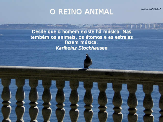 Mundo Animal