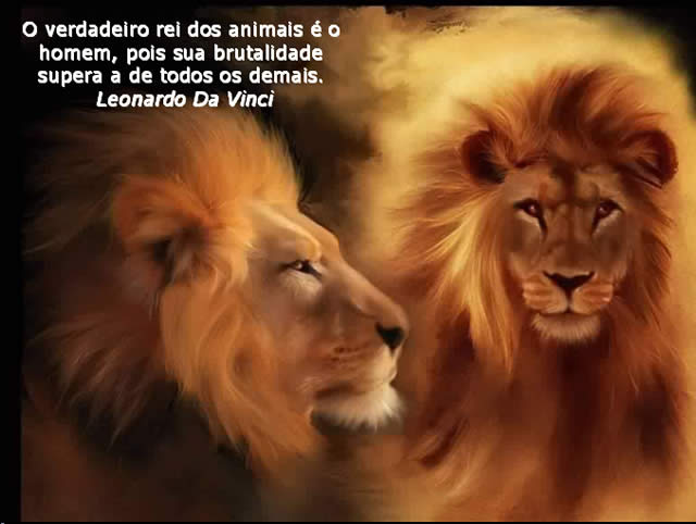 Mundo Animal