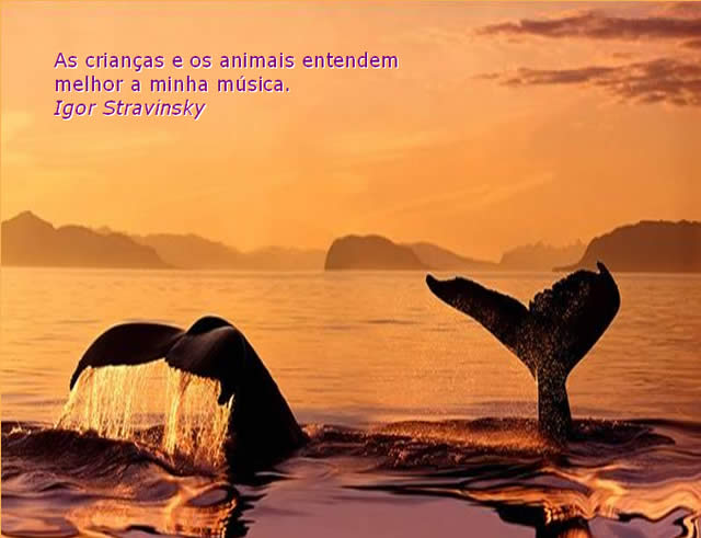 Mundo Animal