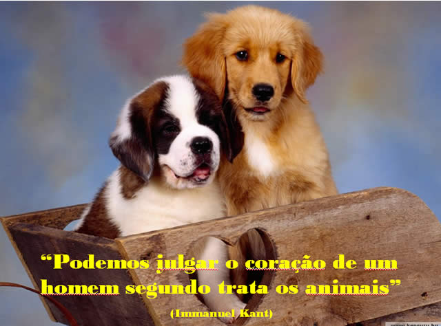 Perros