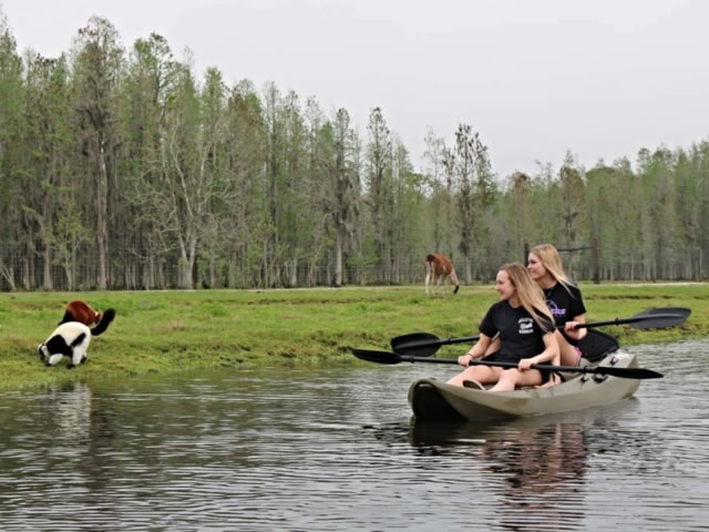 Safari Wilderness, o melhor Safari livre da Flórida