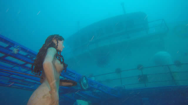 Shipwreck Park , Arte subaquática