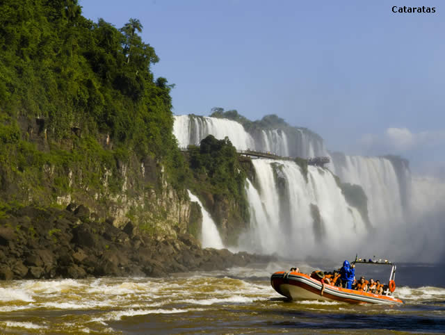 Foz do Iguaçu incentiva a prática do birdwatching - Cataratas